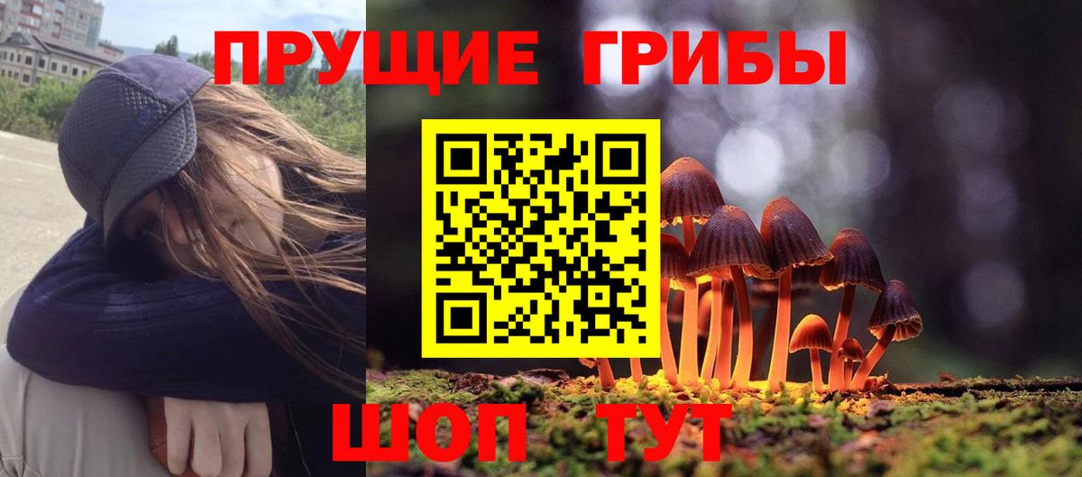 Галлюциногенные грибы GOLDEN TEACHER Саяногорск